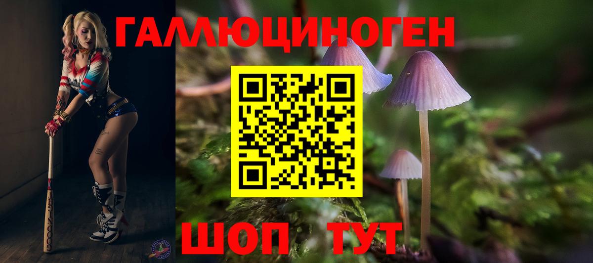 Ялуторовск  Галлюциногенные грибы MAGIC MUSHROOMS  Вход с VPN 